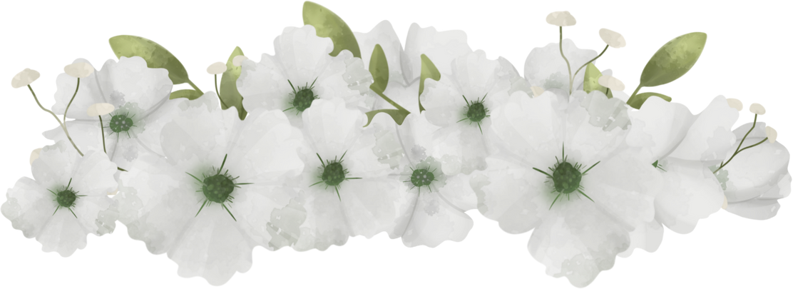 White Flower with Green Leaf Arrangement
